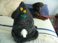Witches hat tea cozy